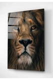 Aslan Cam Tablo