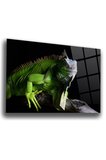 Iguana Cam Tablo | Hediyelik, Dekoratif, Ofis, Mutfak