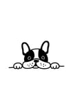 Bagajdan Bakan Bulldog Oto Sticker Siyah 25 x 15 cm