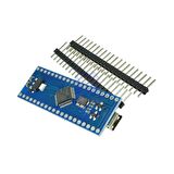 ARM Maple Mini Geliştirme Kartı