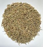 Rosemary Biberiye Fidanı 1 Adet 15-25 Cm Rosemary