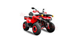 BEYİN YUKİ TRACK ATV 250 YENİ MODEL