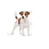 Mini Adult Küçük Irk Yetişkin Köpek Maması 4 Kg