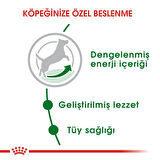 Mini Adult Küçük Irk Yetişkin Köpek Maması 4 Kg