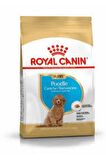 Poodle Puppy 3kg Özel Poodle Yavru Köpek Maması 3kg