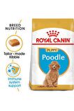 Poodle Puppy 3kg Özel Poodle Yavru Köpek Maması 3kg