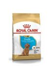 Puppy Poodle Küçük Irk Yavru Köpek Maması 3 kg