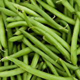 Kılçıksız Börülce Tohumu 50 gr Paket