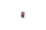 Playmobil Figures 70159 Series 16 - Hunter