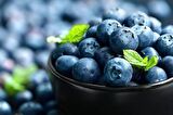 Mavi Yaban Mersini Meyve Fidanı (50-60cm) "Vaccinium myrtillus"  2 Adet