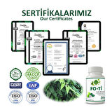 Fo-ti Kapsül (ISIRGAN KAPSÜL