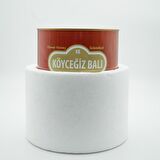 Köyceğiz Balı Çiçek Balı 2850 G Teneke