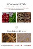 Kırışıklık Karşıtı Oryantal Bitkisel İçerikli İpek Maske 40g MISA Cho Gong Jin Silk Mask