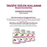 Forskolin Kapsül (COLEUS CAPSULE)