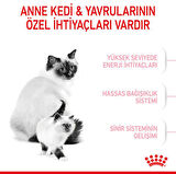 Royal Canin Mother&Baby Cat Hamile Ve Emziren Kedi Mama 400 Gr