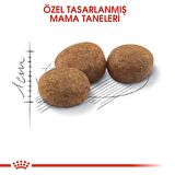Royal Canin Sterilised37 Kısırlaştırılmış Kediler için Kuru Kedi Maması 15kg