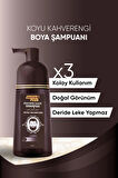 SOFTTO PLUS BROWN HAIR SHAMPOO 350 ML