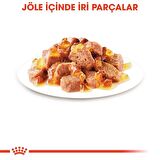 Royal Canin Hair&Skin Tüy ve Deri Sağlığı için Jöle İçerisinde Yaş Kedi Maması 85g