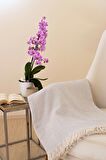 Tabu Home Dokuma Cozy Comfort Gri Tv Battaniyesi
