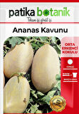 100 Adet Ananas Kavun Tohumu 