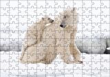 Cakapuzzle  Beyaz Ayı Ailesi Kutup Puzzle Yapboz MDF Ahşap