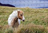 Cakapuzzle  Beyaz Yeleli Midilli Puzzle Yapboz MDF Ahşap