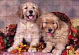 Cakapuzzle  Sepetteki Yavru Köpekler Puzzle Yapboz MDF Ahşap