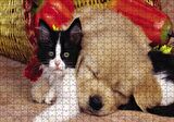 Cakapuzzle  Yavru Kedi Köpek Puzzle Yapboz MDF Ahşap