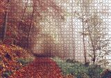 Cakapuzzle  Sonbaharda Orman Patikası Puzzle Yapboz MDF Ahşap