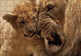 Cakapuzzle  Erkek Aslan ve Evladı Puzzle Yapboz MDF Ahşap