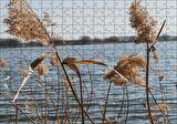 Cakapuzzle  Göl Kıyısında Sazlar Puzzle Yapboz MDF Ahşap