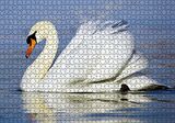 Cakapuzzle  Muhteşem Beyaz Kuğu Puzzle Yapboz MDF Ahşap