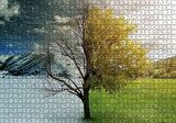 Cakapuzzle  Yaz ve Kış Bir Arada Puzzle Yapboz MDF Ahşap