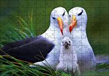 Cakapuzzle  Albatross Kuşu Ailesi Puzzle Yapboz MDF Ahşap