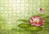 Cakapuzzle  Lotus Çiçeği Ve Yeşil Zemin Puzzle Yapboz MDF Ahşap