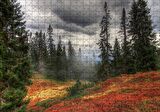 Cakapuzzle  Orman Kara Bulutlar Turuncu Çiçekler Puzzle Yapboz MDF Ahşap