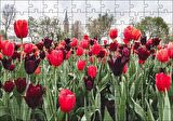 Cakapuzzle  Turuncu Ve Mor Laleler Puzzle Yapboz MDF Ahşap