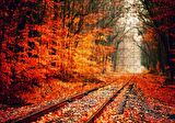 Cakapuzzle  Tren Yolu Orman Bir Sonbahar Resmi Puzzle Yapboz MDF Ahşap