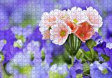 Cakapuzzle  Mor Bahçenin Ortasında Güzel Portakal Çiçekleri Görseli Puzzle Yapboz MDF Ahşap