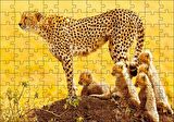 Cakapuzzle Atletik Çita ve Sevimli Yavruları Puzzle Yapboz MDF Ahşap
