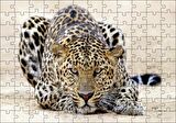 Cakapuzzle Kumların Üzerinde Pusudaki Leopar Puzzle Yapboz MDF Ahşap