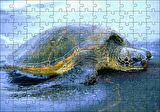 Cakapuzzle Kumsala Çıkan Caretta Caretta Puzzle Yapboz MDF Ahşap