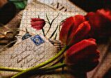 Cakapuzzle Aşk Mektupları ve Kırmızı Laleler Puzzle Yapboz MDF Ahşap