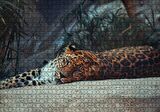 Cakapuzzle Kayanın Üzerinde Dinlenen Uykulu Jaguar Puzzle Yapboz MDF Ahşap