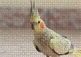 Cakapuzzle Sevimli Sarı Kakadu Papağanı Puzzle Yapboz MDF Ahşap