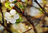 Cakapuzzle Beyaz Çiçek Arkaplanda Dallar ve Flu Yapraklar Puzzle Yapboz MDF Ahşap