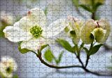 Cakapuzzle Dallar Beyaz Çiçekler Yeşil Tohumlar Yakın Çekim Puzzle Yapboz MDF Ahşap