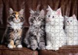 Cakapuzzle Kahverengi Deri Koltukta Sevimli 4 Kedi Puzzle Yapboz MDF Ahşap