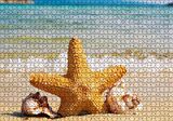 Cakapuzzle Deniz Yıldızı Deniz Kabukları ve Berrak Kumsal Puzzle Yapboz MDF Ahşap