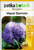 100 Adet Vapur Dumanı (Ageratum Houstanianum) Çiçek Tohumu 